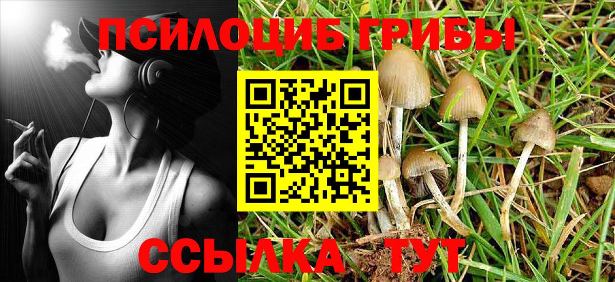 Галлюциногенные грибы мухоморы  Вход с VPN  Нарткала 
